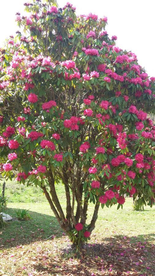 Chalé Recanto da Natureza Gonçalves Exterior foto
