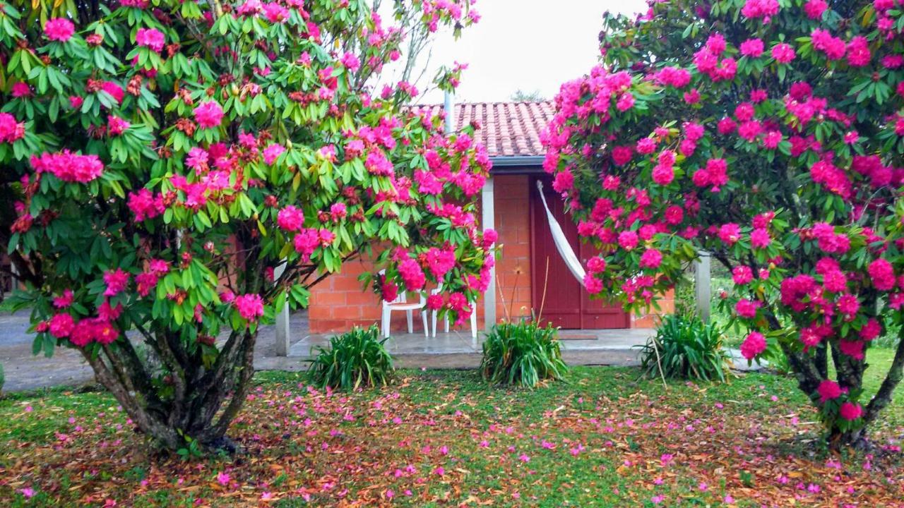 Chalé Recanto da Natureza Gonçalves Exterior foto